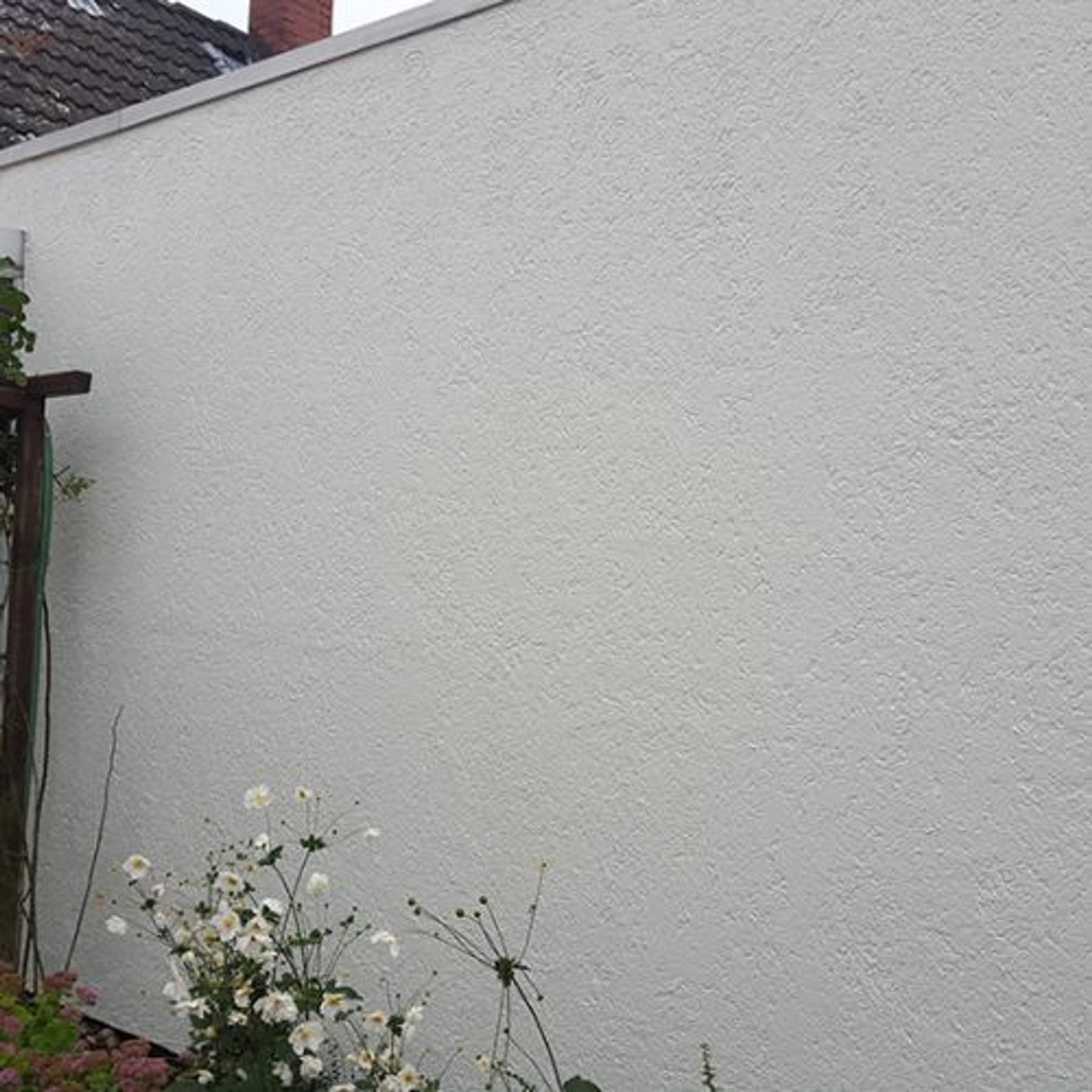 Fertig gestrichene Hauswand mit Garten in Lübeck